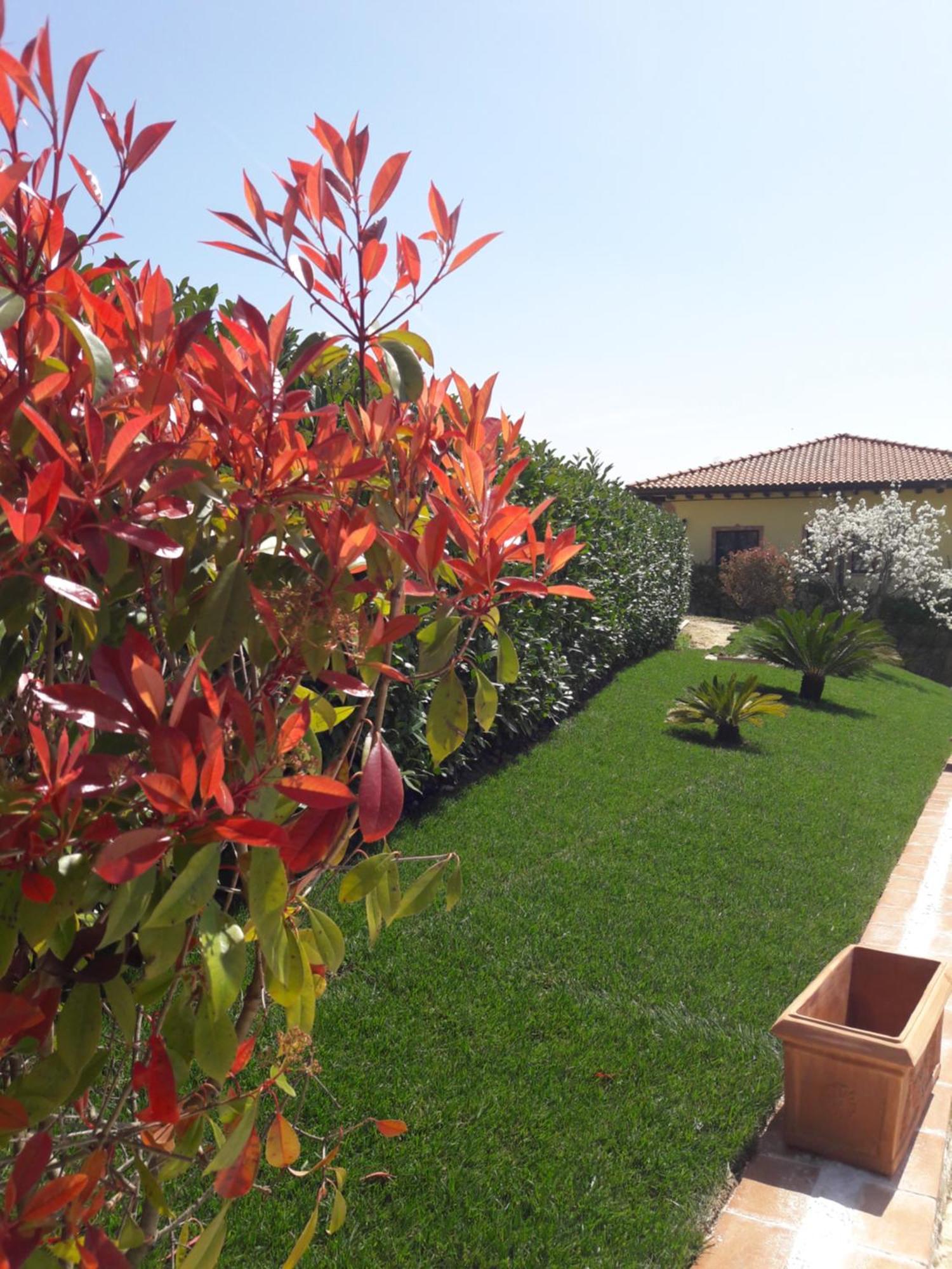 Tenuta La Ginestra Ornaro Exterior foto
